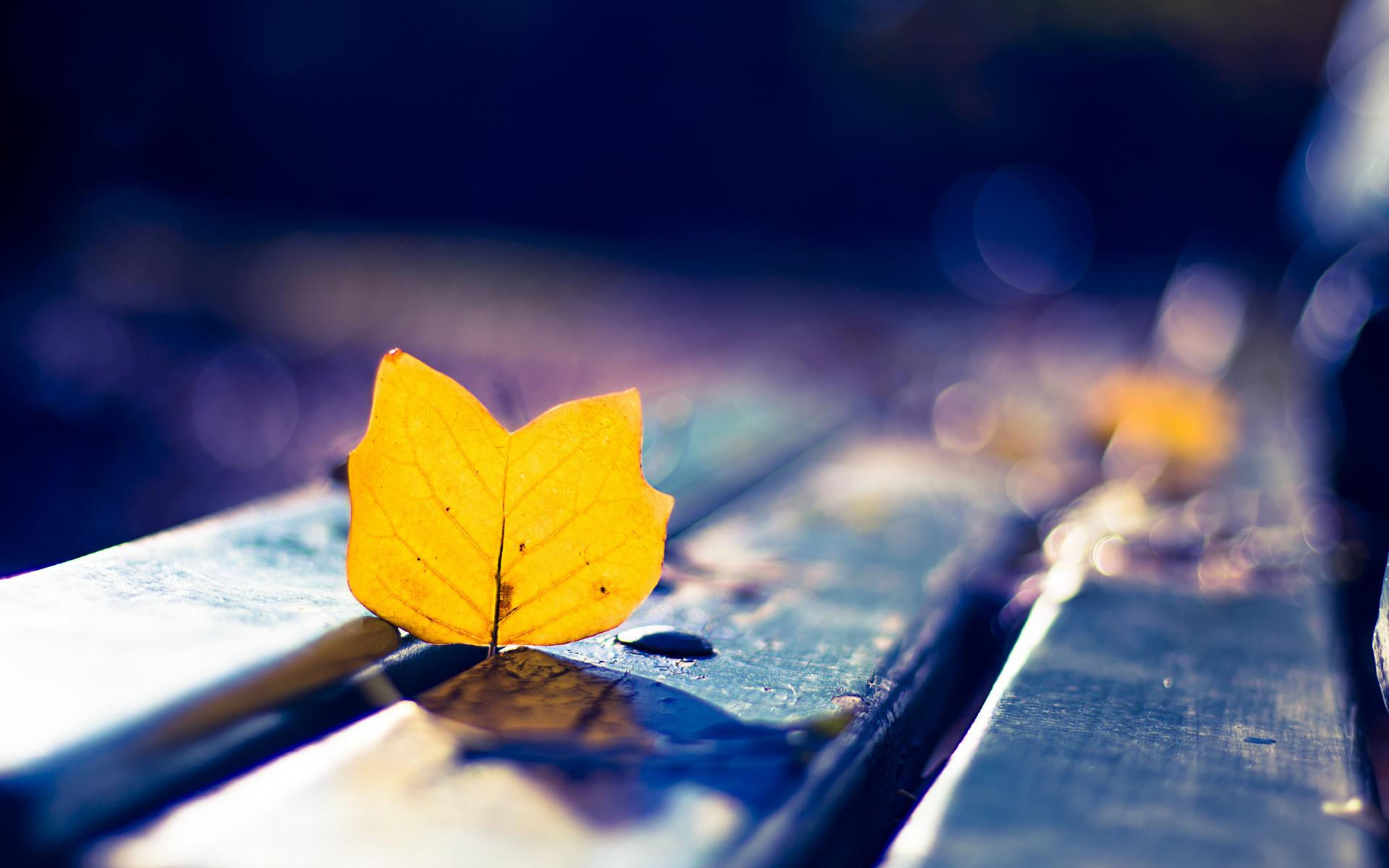 �������ֶ�һ�޶�Ů��ɫ���� ����Ů���������ִ�ȫ