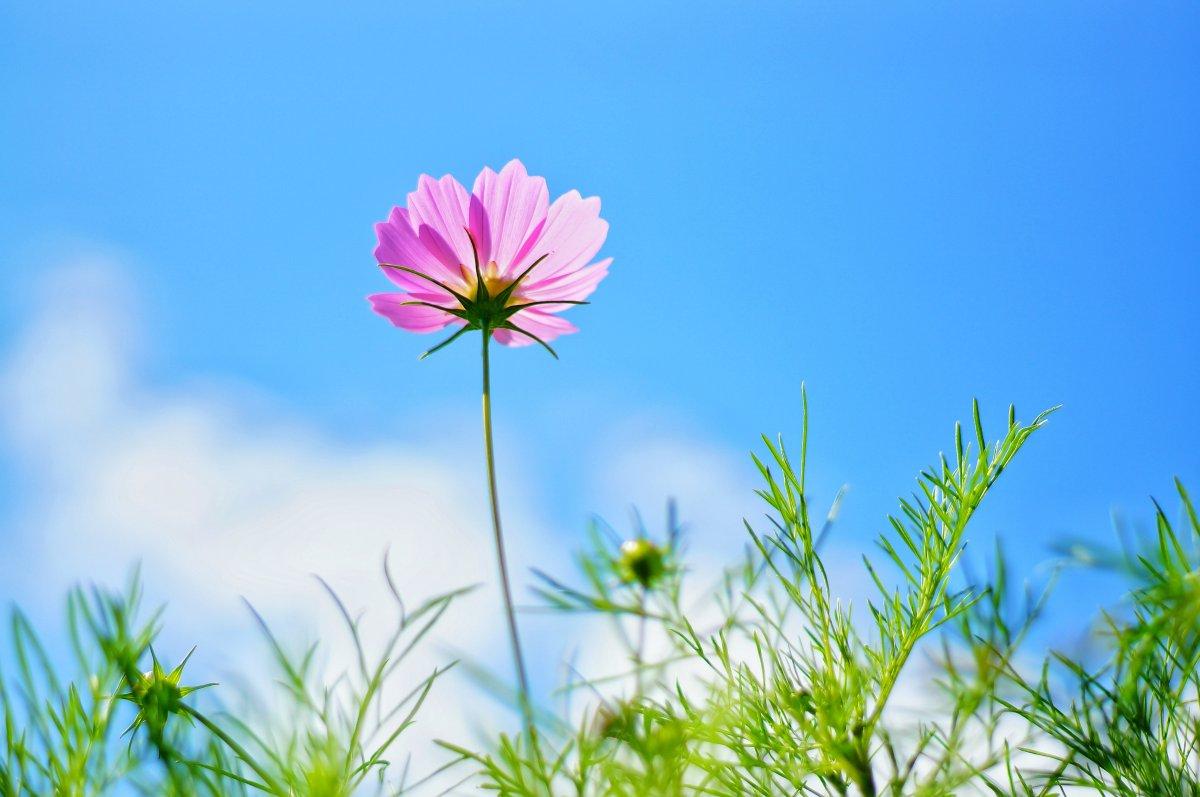 �������ֵ�Ԣ����� �����ֵ��к����ִ�ȫ