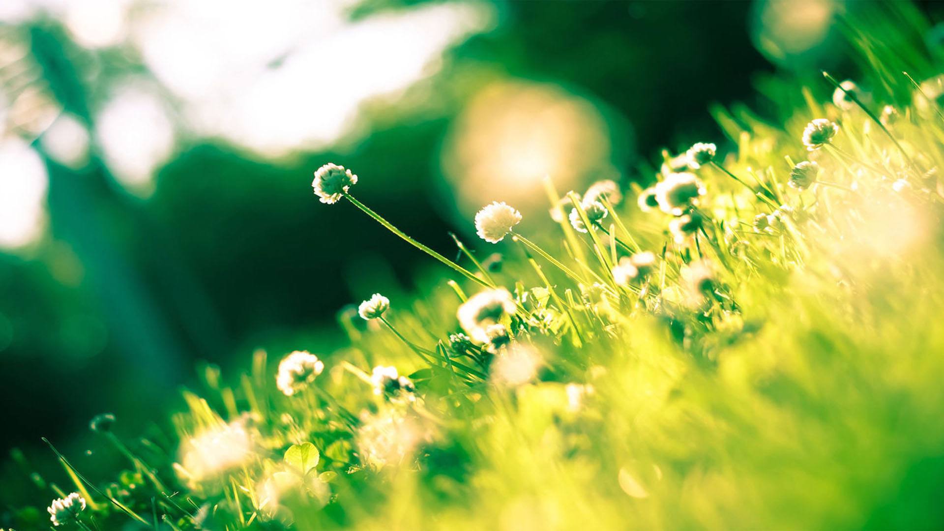 Ů����ȡ��Ԣ��õ�������Щ Ԣ���Ҹ�������Ů������ȫ