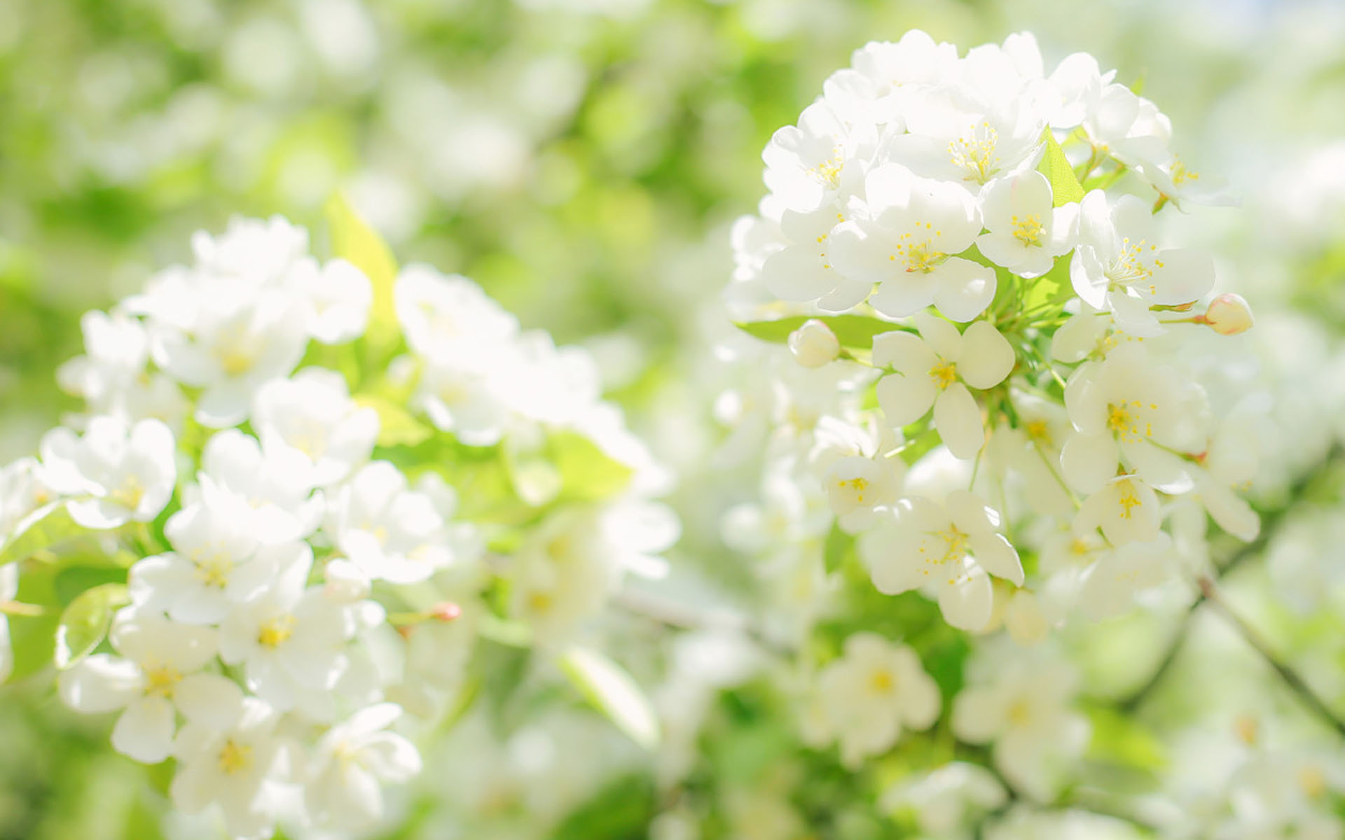 ���պ���ϡ�ٵ��к�����2021 ţ���б�������������ȫ��