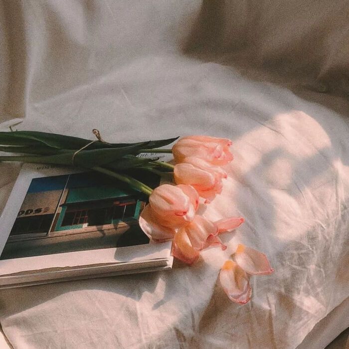 Ů�����ֽ���ʲô�����������ֵ�Ů�������Ƽ�