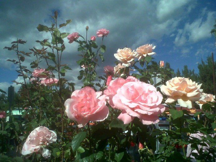 �к�����ȡʲô���ֺ����������к������ʵ�����