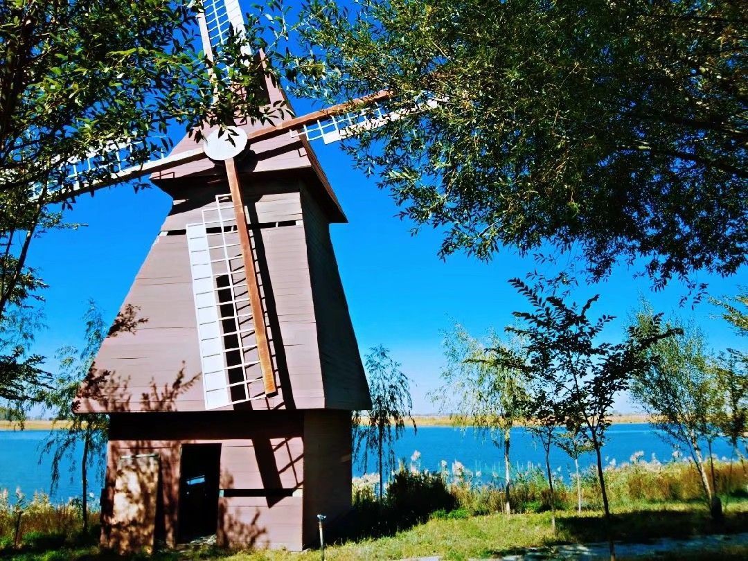 Ů��������ǿ�ǻ۵����ּ����ͣ�Ů���Ƚϸ���������