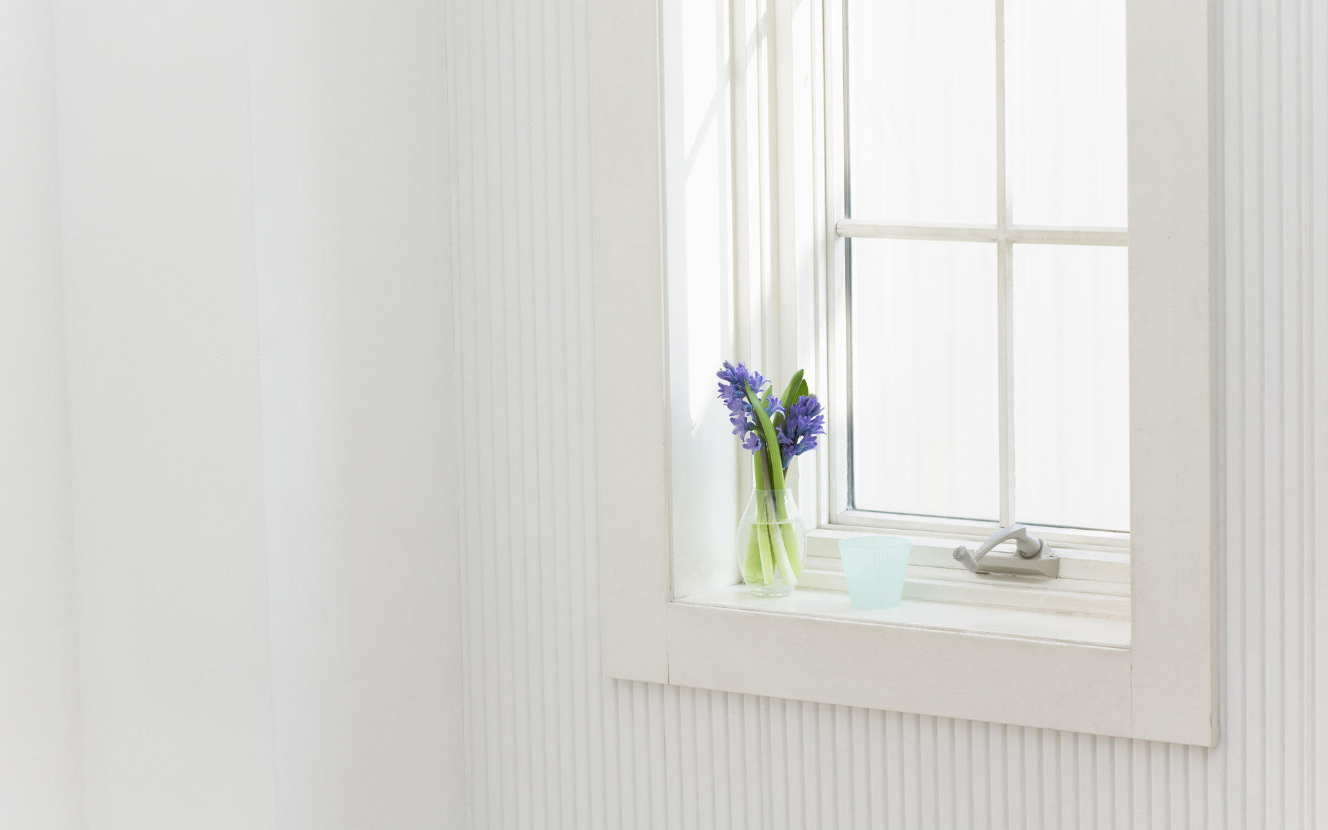 ����Ů��Ư���к�������������Щ 100������Ů�����ִ�ȫ