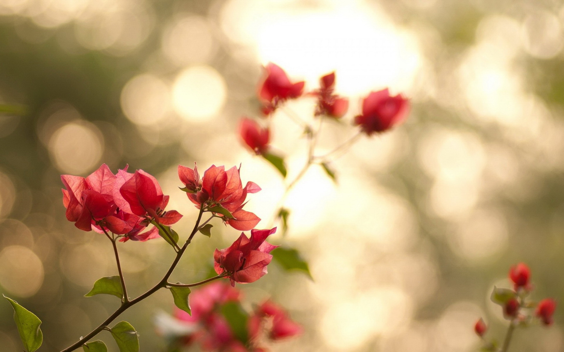 ���ȡ��Ԣ�������ʲô���� ����ֵ������к����ִ�ȫ