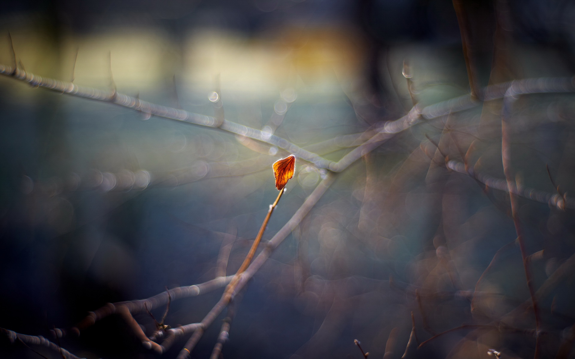 ��Ů��ȡ����ȡʲô���ֺ��� �򵥴�˳�ڵ�Ů�����ִ�ȫ