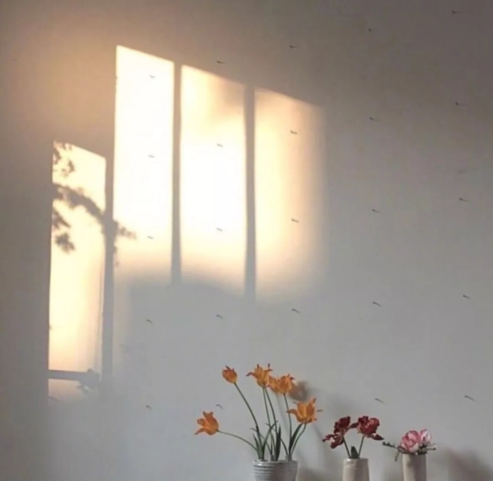 ����ֵ�Ů��������ôȡ�����ʲô�ֺ���Ů������