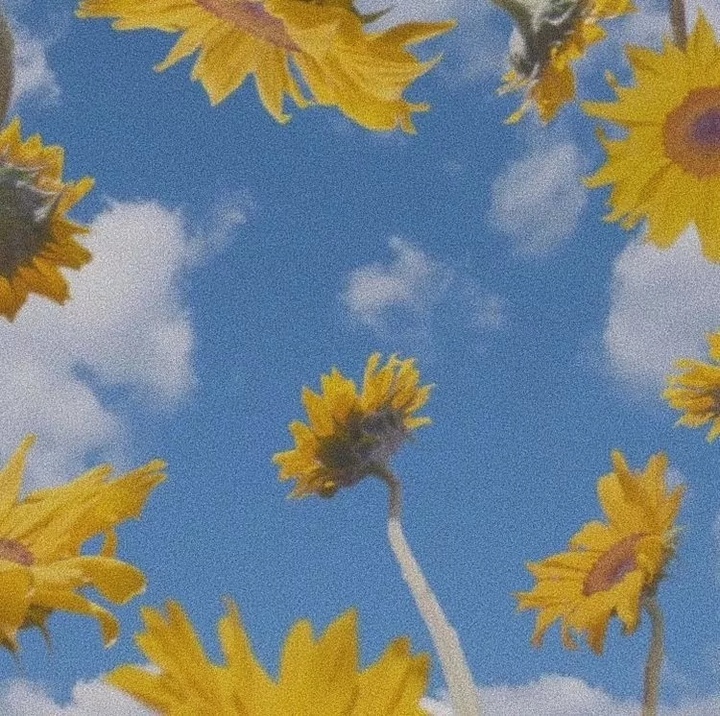 ������˧�����б������֣��б����������ִ�ȫ