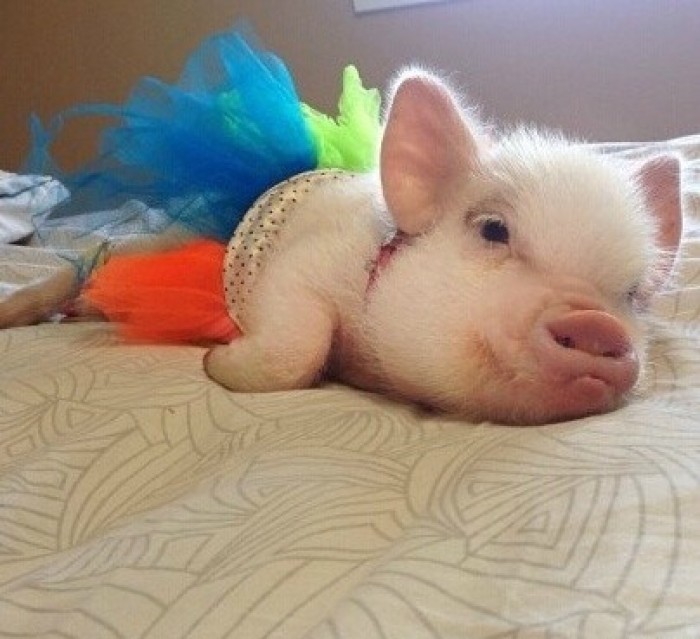 Ԣ��õ�������Ů����������Щ�����긻�����Ů�������Ƽ���