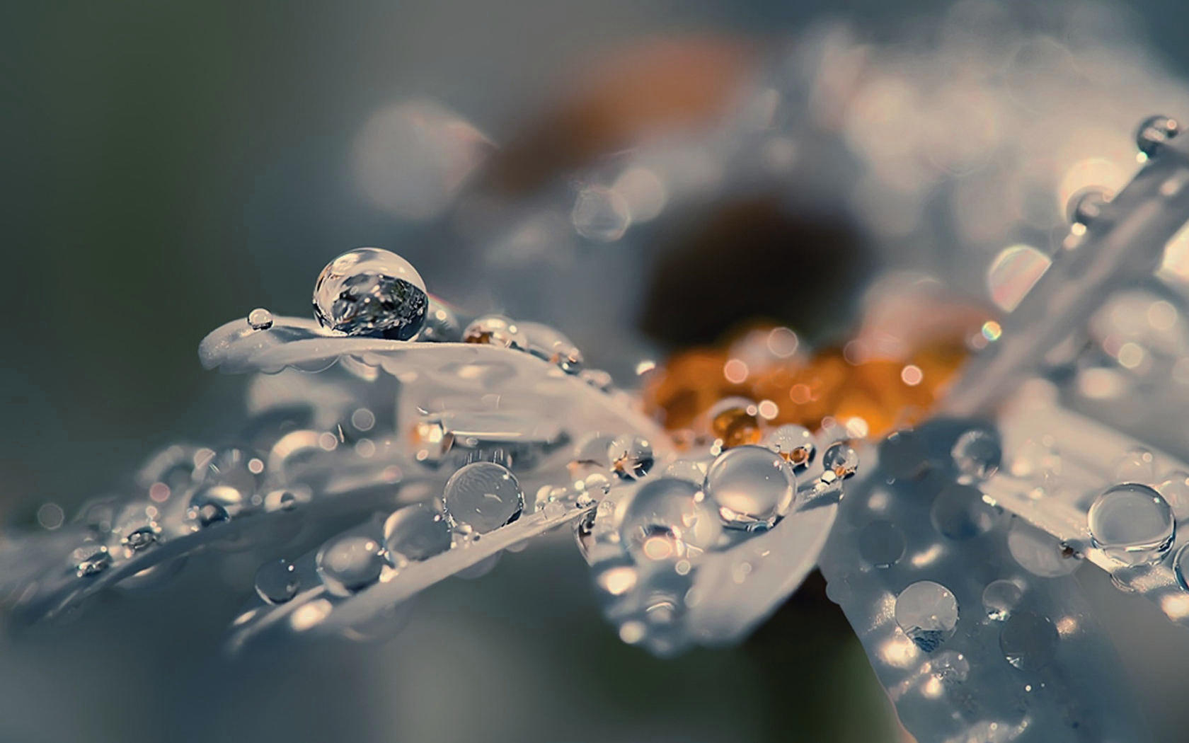 ����Ϊ���ֺò�����ʲôԢ�� �����ֵ��к����ִ�ȫ