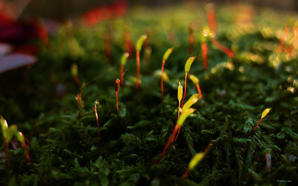 ��л��Ů��ȡʲô���ֺ� л�ռ򵥴�����������Ů������