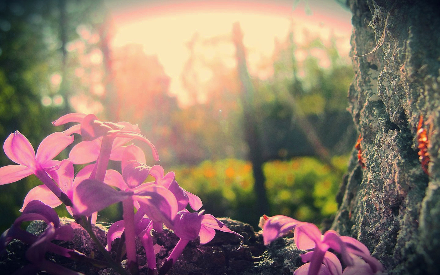 �����к����ֵĺ�����ʲô �������Ԣ��õ��к����ִ�ȫ