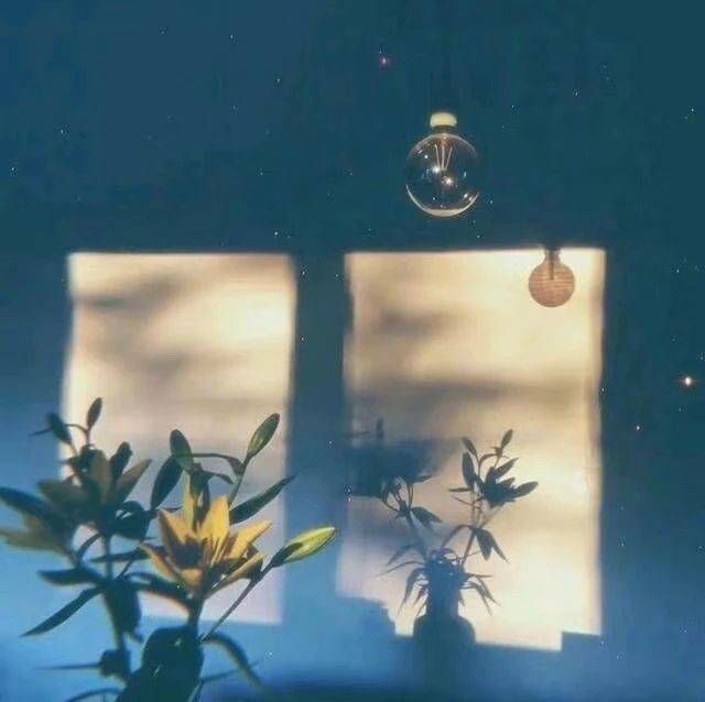 Ů�����ֹŷ�Ψ�������ͣ��ŷ羪�޵�Ů�������Ƽ�