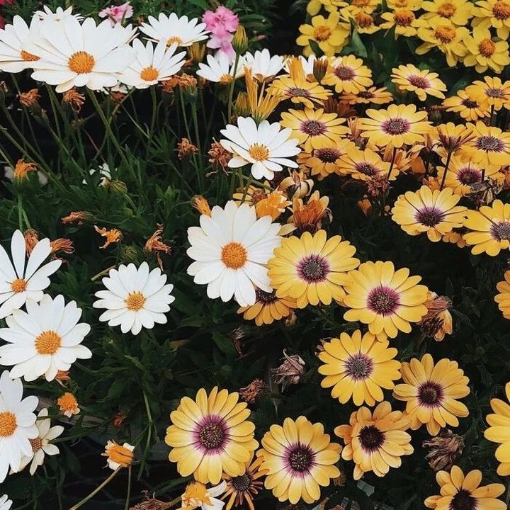 ���������񾲵�Ů�����֣�Ů���Ӻ����������ʵ�����