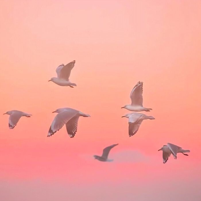 ������������������Ů�����֣������ټ���Ů������