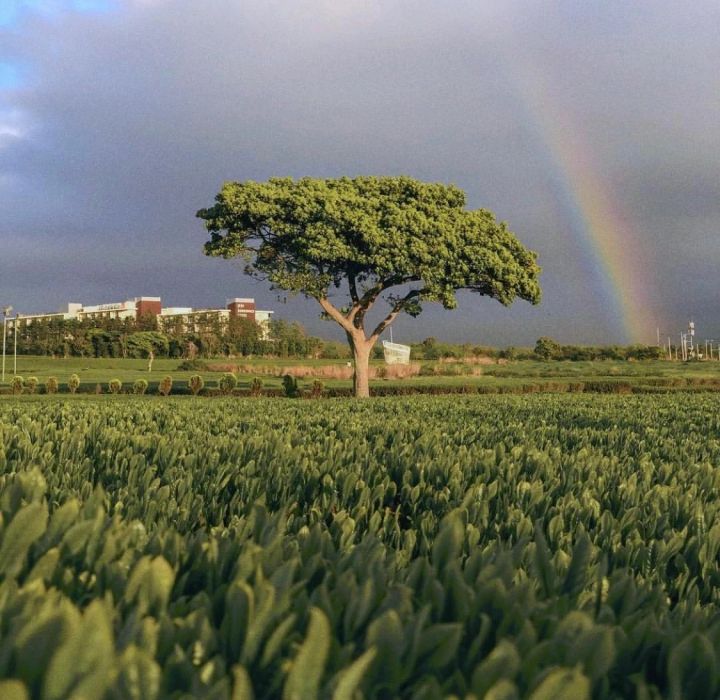 Ů��ȱˮ�ĺ������֣���ˮ��Ů�����ִ�ȫ�����