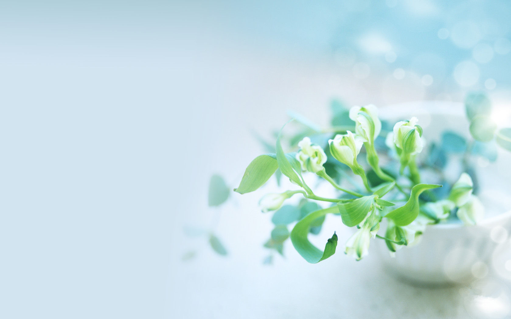 Ů��ȡʲô���ֺ������й��� �߶˴�����Ů������ȫ��