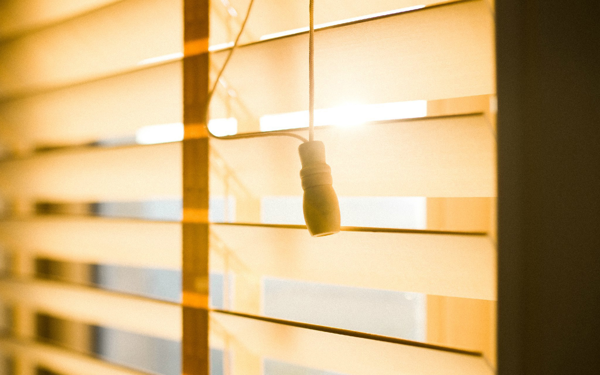 ������ľ����Ů����������Щ�� ����ȱľŮ��100������