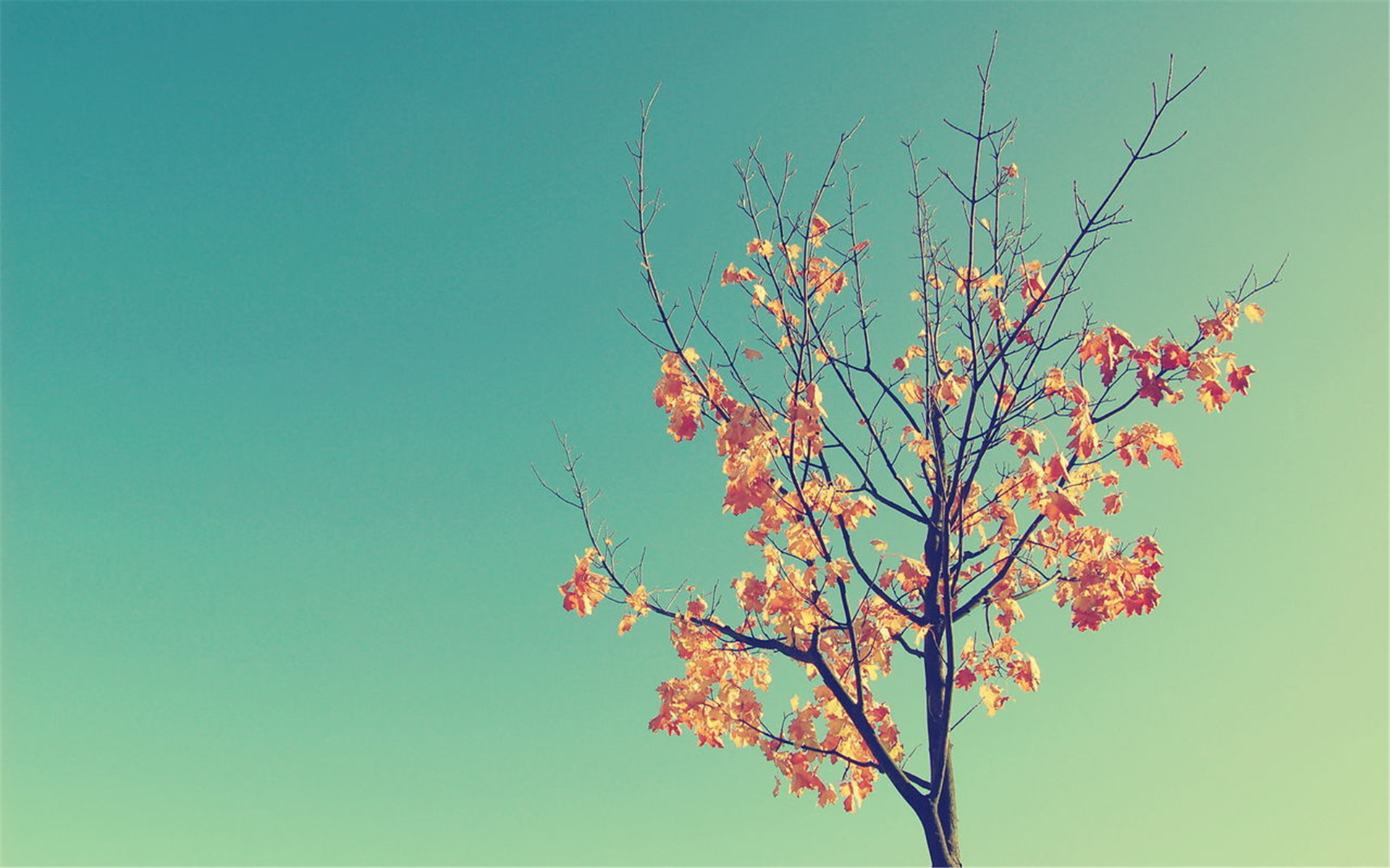 �����ټ���Ů����������Щ 2021�����³���Ů������