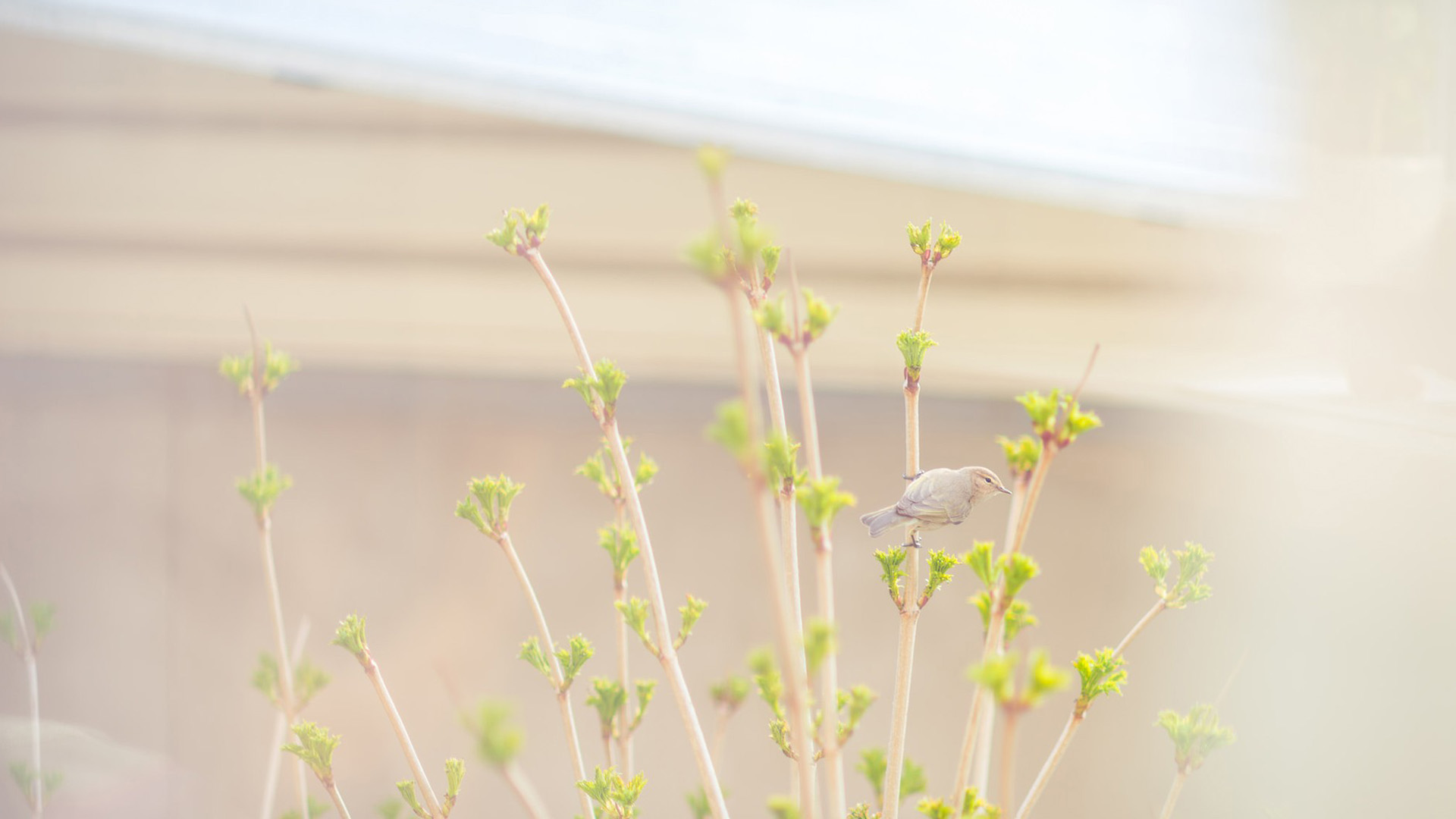 �����к�ȡʲô����Ԣ��� ���������к����ִ�ȫ