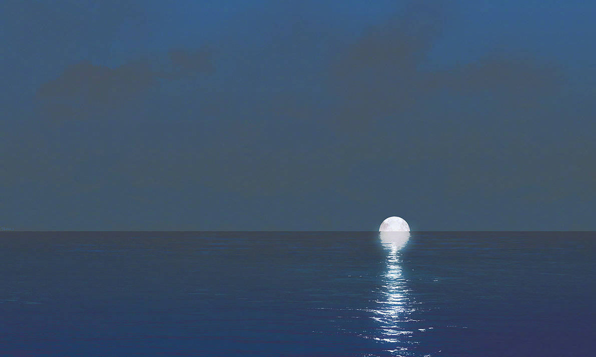 2021��Ů�����ȡ����Ԣ�����õ�Ů�����ִ�ȫ���