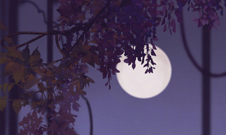 �պ�Ů����Ԣ������֣�����Ů��������߷�