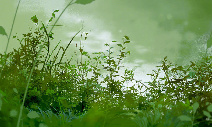 ����ȱ������������ʲô�֣��ʺ�ȱ����к����ֵ���