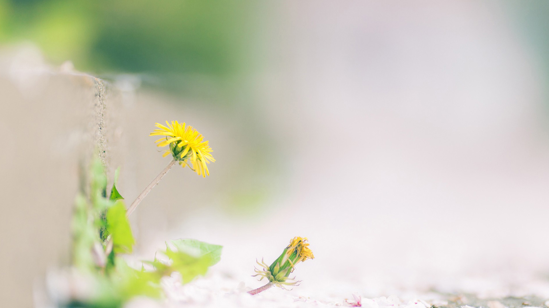 �����Ů����ʲô���� ���պ�������������Ů��