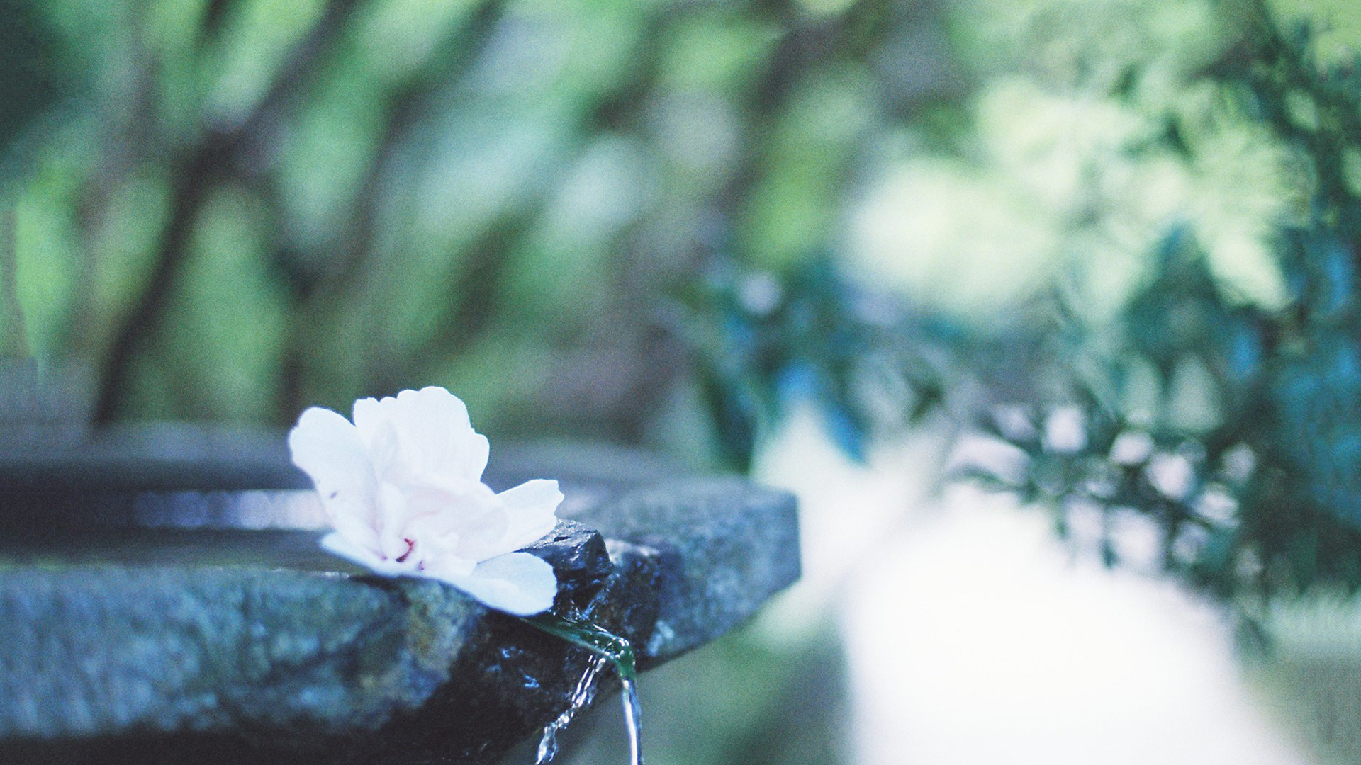 һ��ȡ����Ԣ����� ��һ���к���������������ȫ