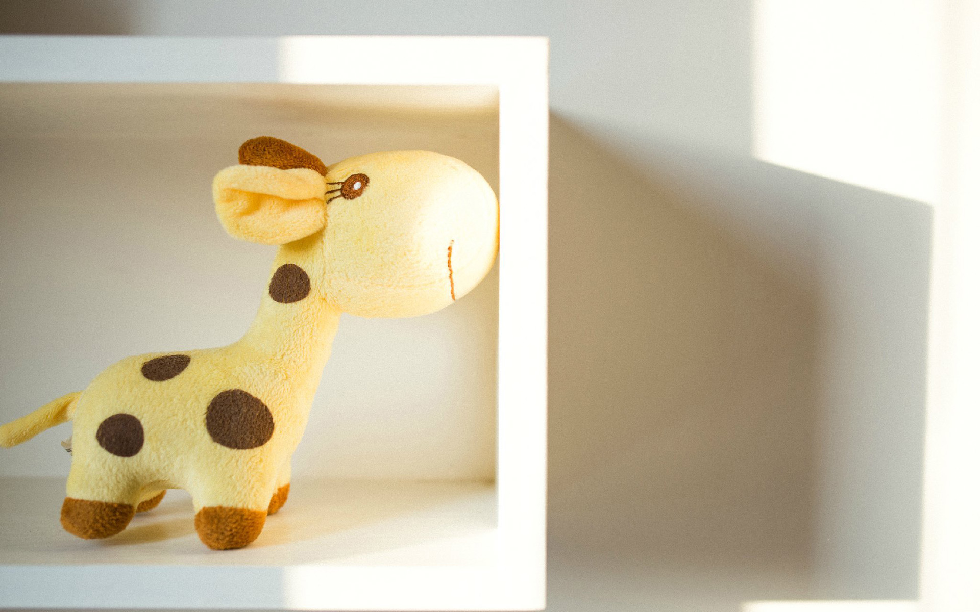 Ҷ���к��������ں������� Ҷ��100���к����ִ�ȫ