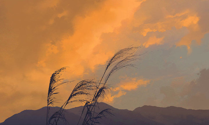 Ů��ȡʲô���ֺ����ָ������и����Ů������