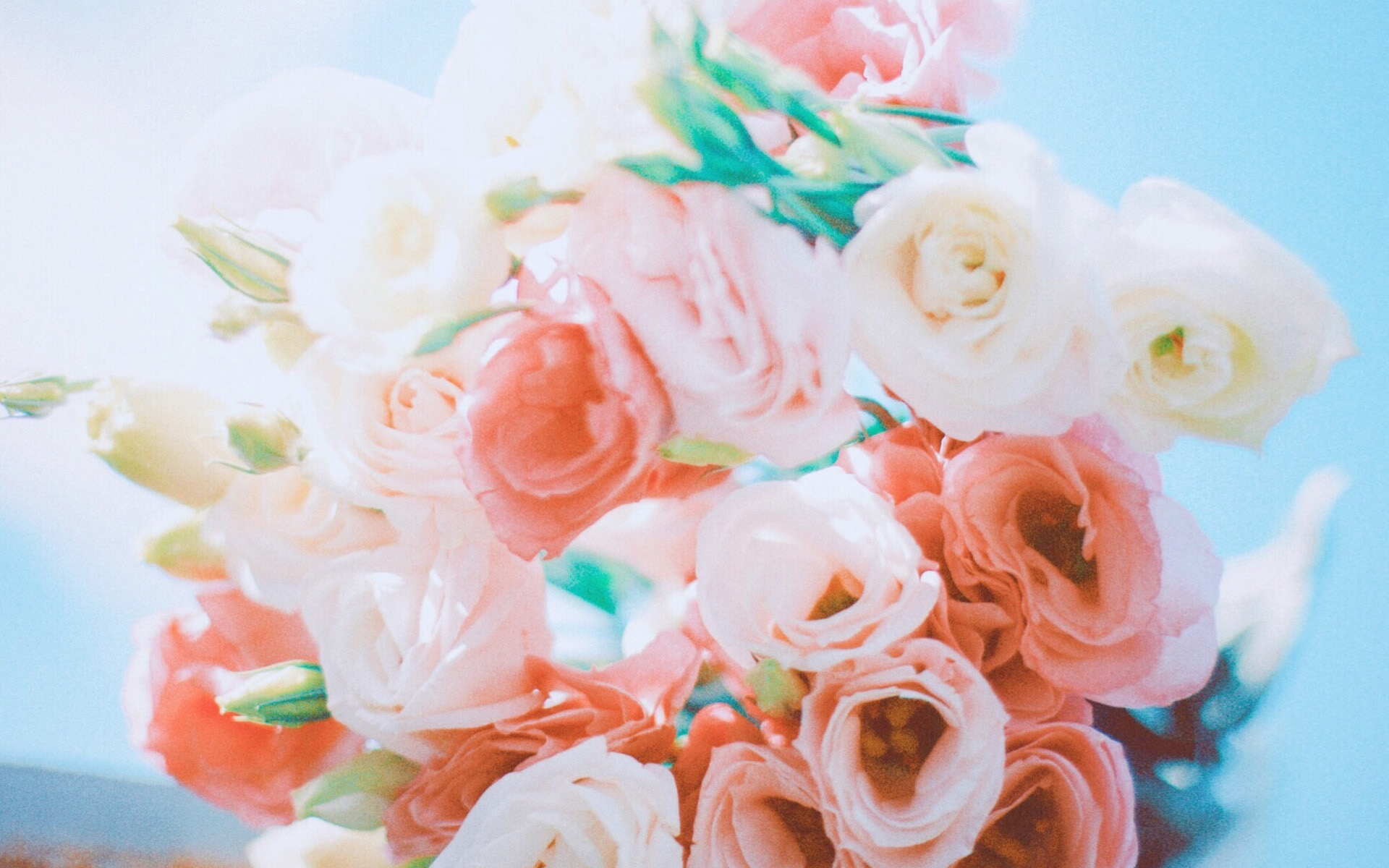 �ʺ�ȡ���ֵĳ������к� �к�����Ӳ�������ִ�ȫ