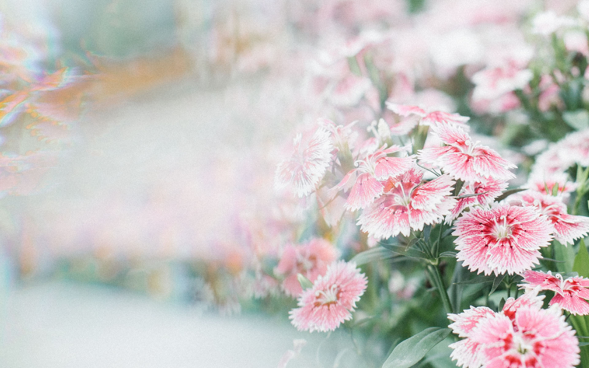 ��θ�Ů������һ���������� Ԣ��ȽϺõ�Ů�������Ƽ�