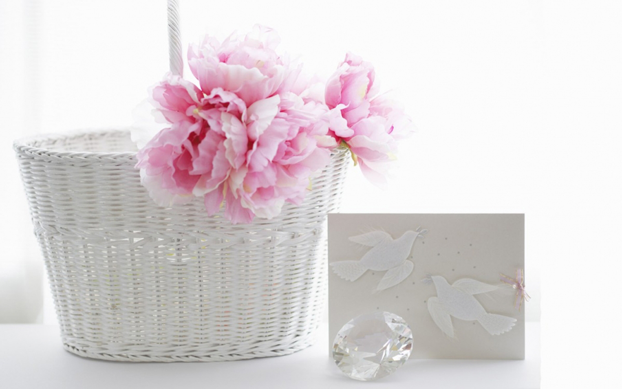 ����Ů�����е�Ԣ����� �����Ů������Ψ��������