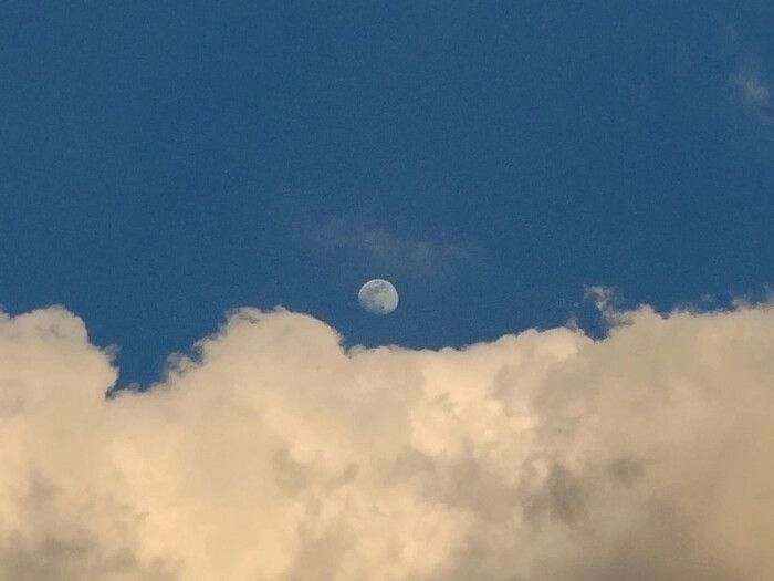 ����ȡ����Ԣ��ͺ��壬�����ֵ�Ů������Ԣ��