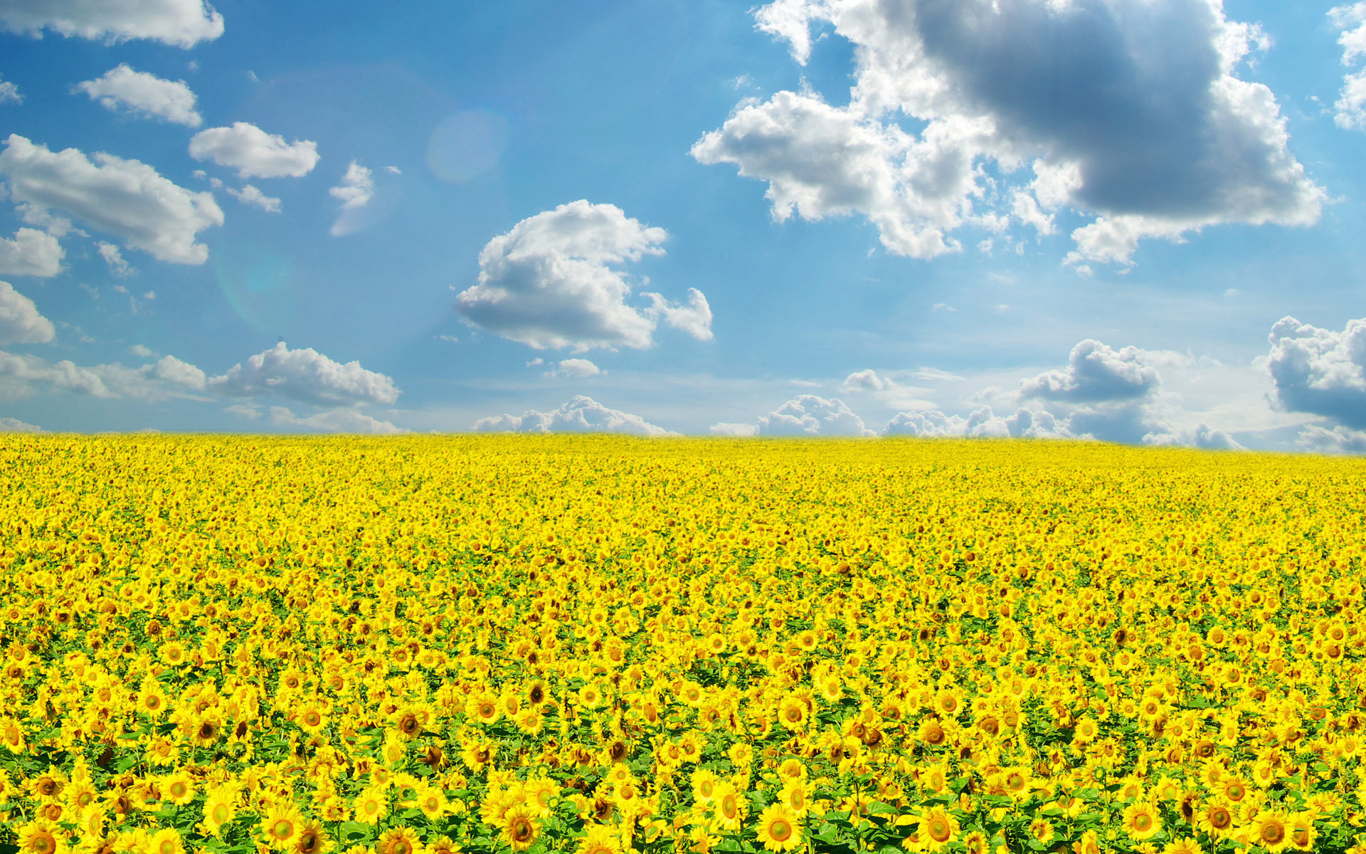 �����Ů������Ԣ��ò��� ����������Ů������100��