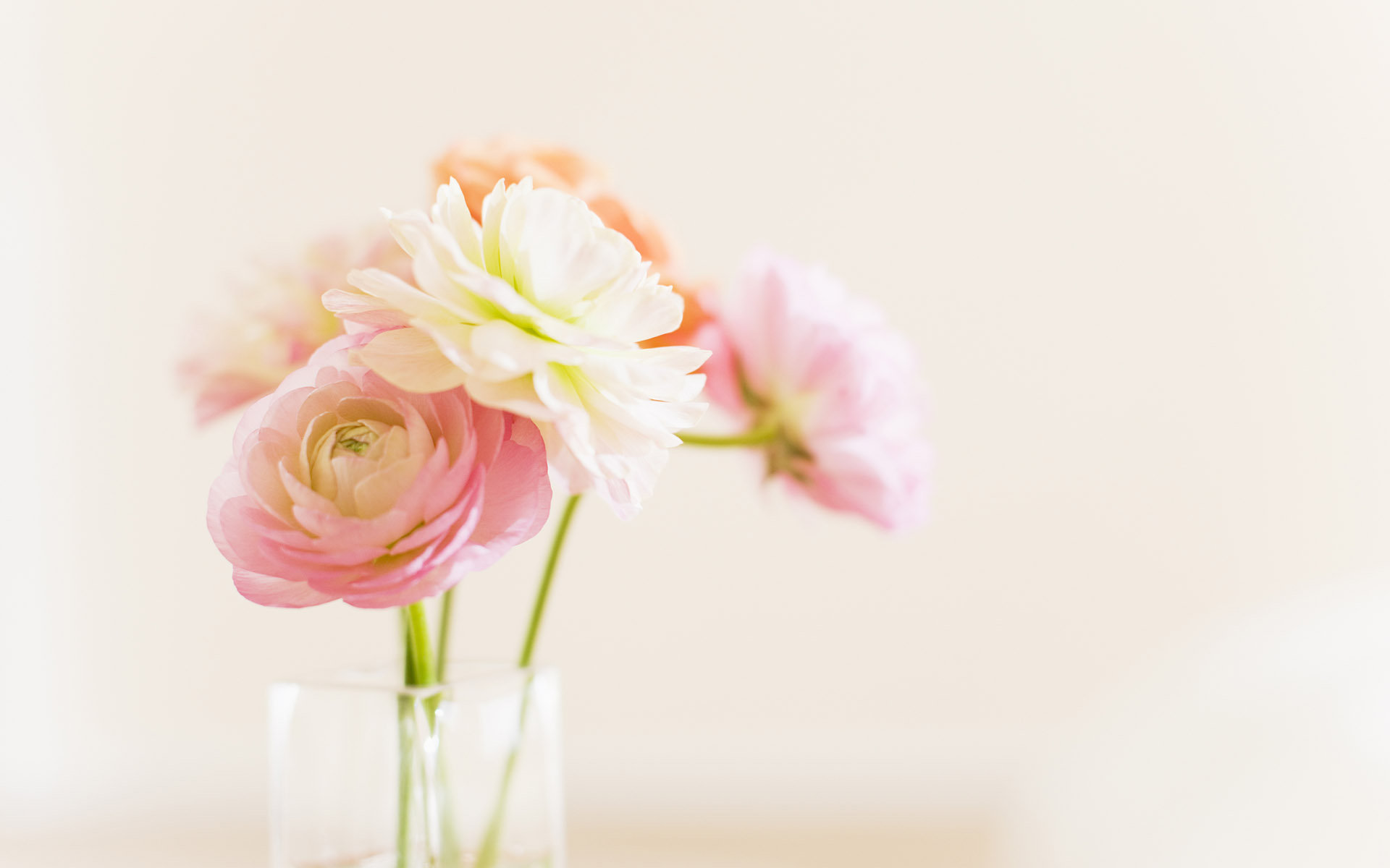 ������������ʲô��˼Ԣ����� �����ֵ��к����ִ�ȫ