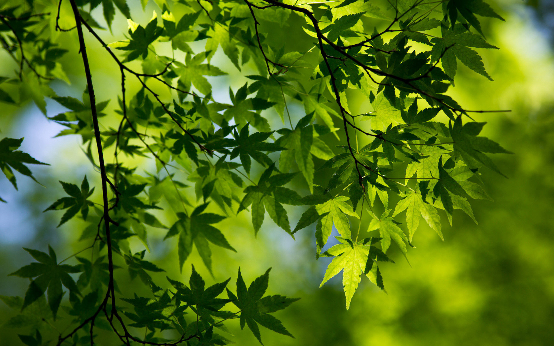 ����Ů��������������Ԣ�� �������ʵ�����Ů�����ִ�ȫ