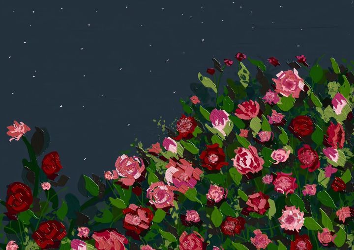 ����ȡ��Ԣ�⼰������ʲô�������ֵ��к�������