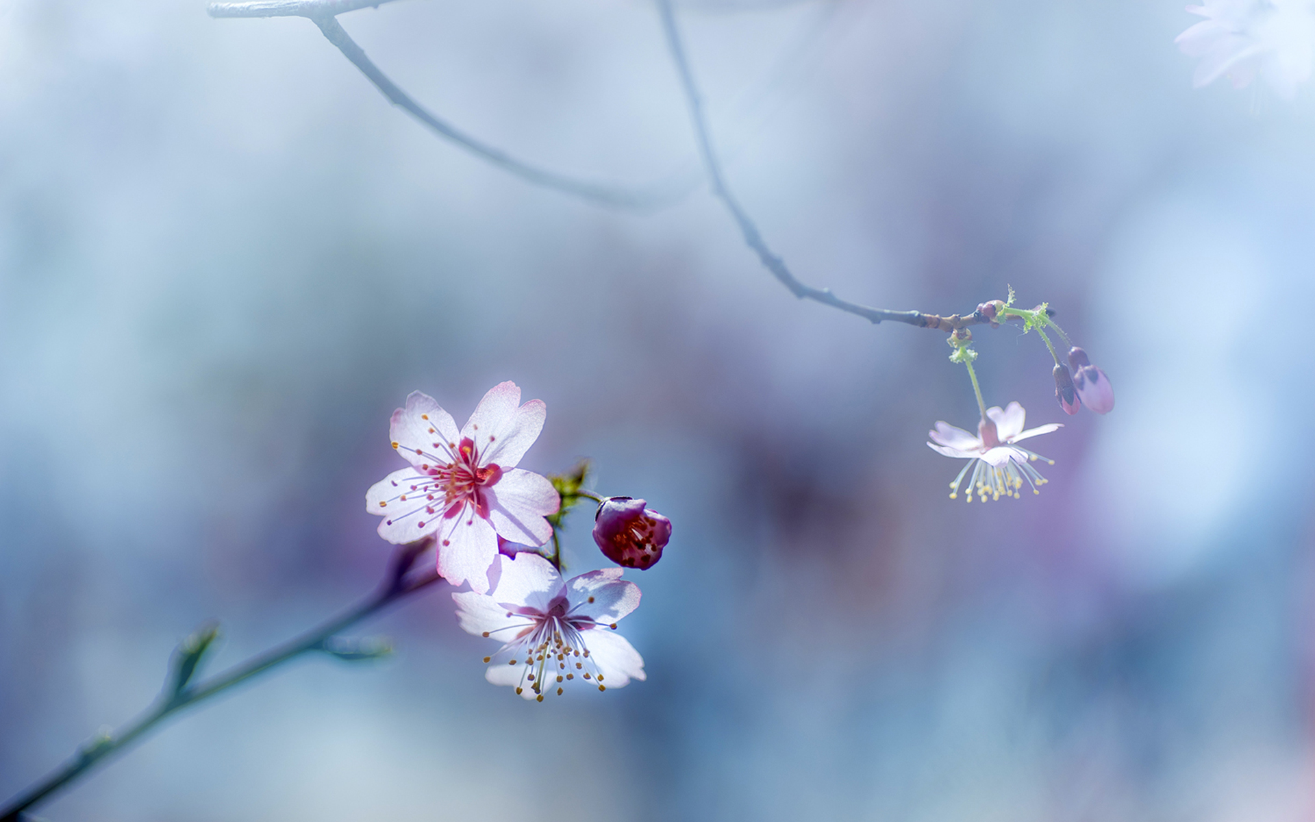 ����Ů������ʫ������ ����Ů��100�����ִ�ȫ