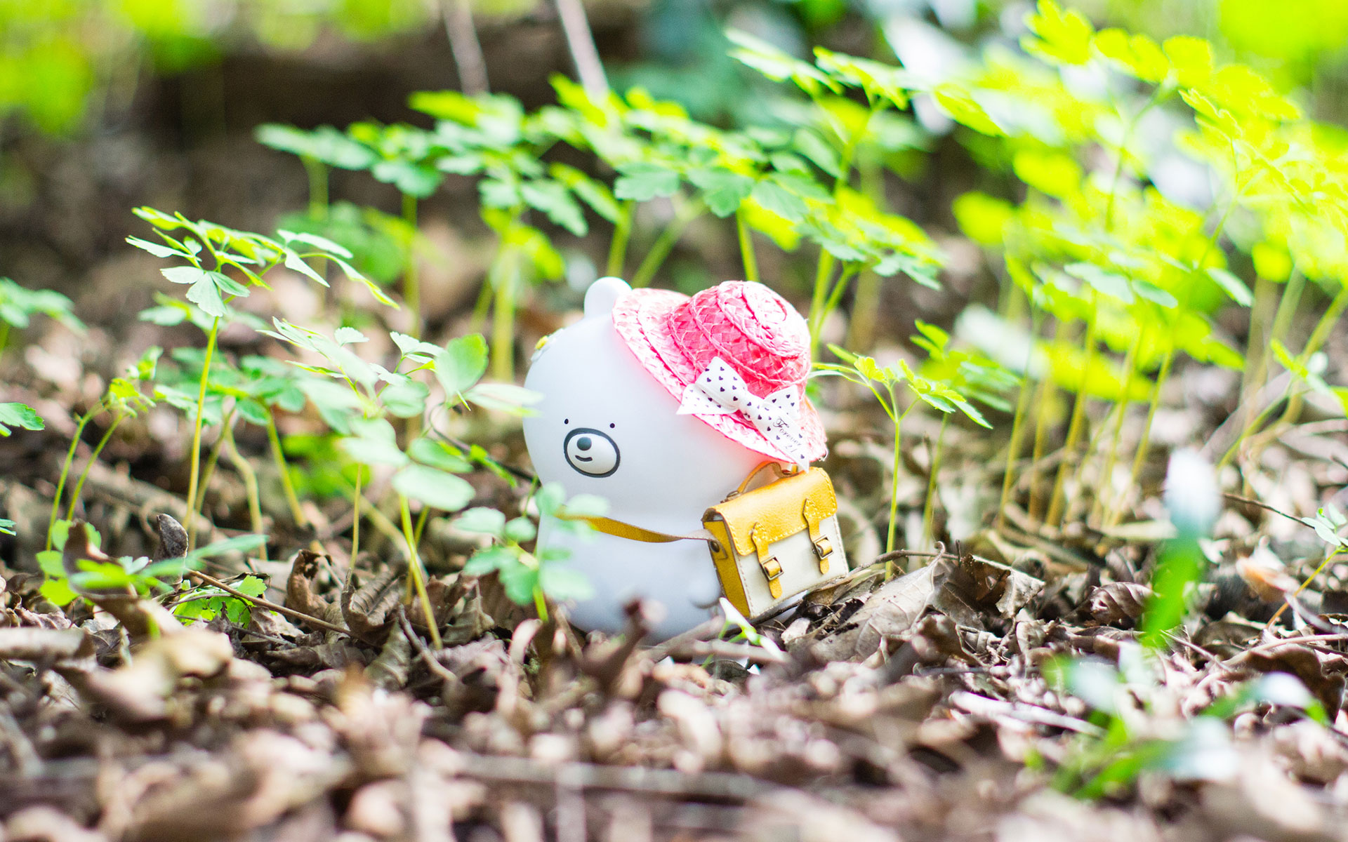 �к��������ֺò�����ʲôԢ�� �����к������������Ƽ�