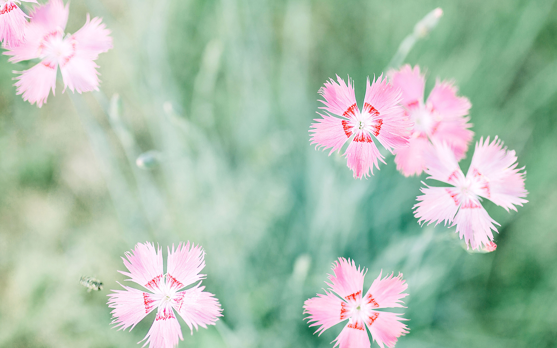 ����Ů������������һ������Щ ����Ů�������к��������ִ�ȫ