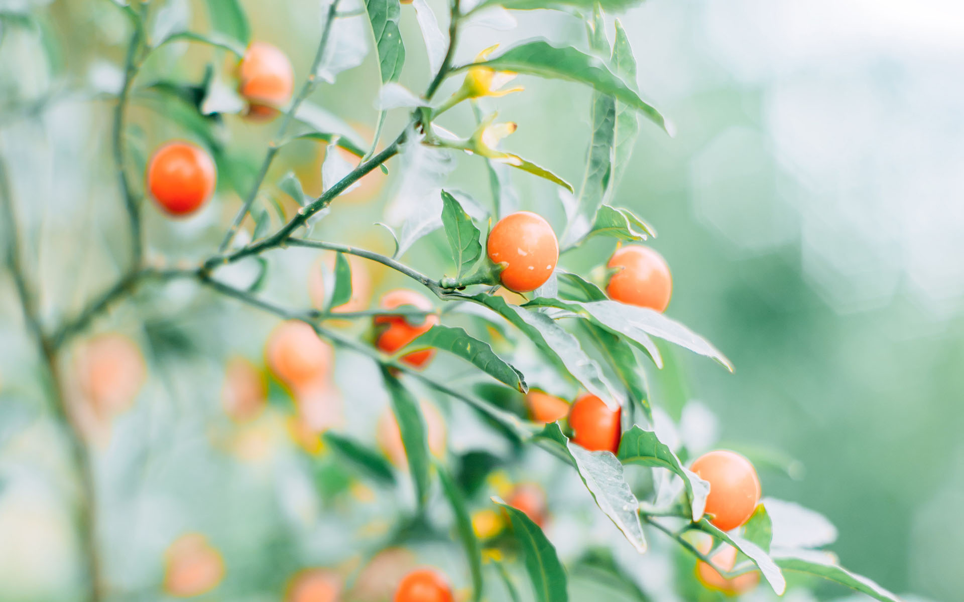 �����ֵĸ������ں���Ů������ Ů������������ֺò���Ԣ��