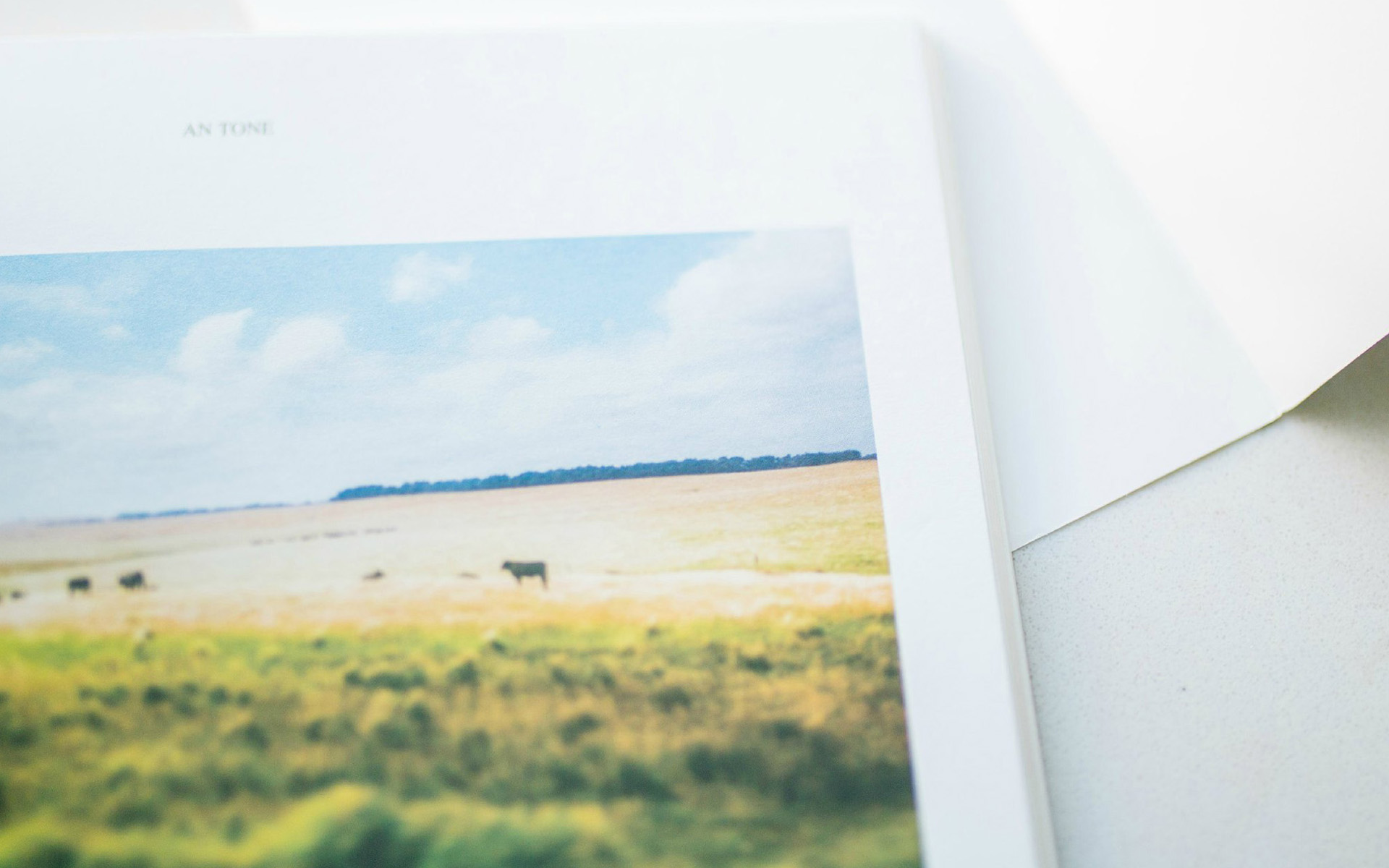 �����к�����Ӧע��ʲô �����к����ִ�ȫ