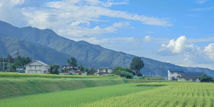 ����ȡ���ĺ��弰�������ԣ������ֵ��������־�ѡ