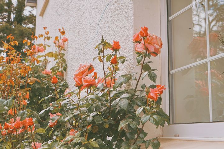 �������ں����к����֣��к�������������ִ�ȫ