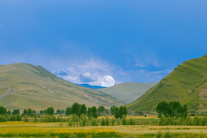 �г�Ϣ��־�����к����֣�Ԣ��ɹ����к����ִ�ȫ