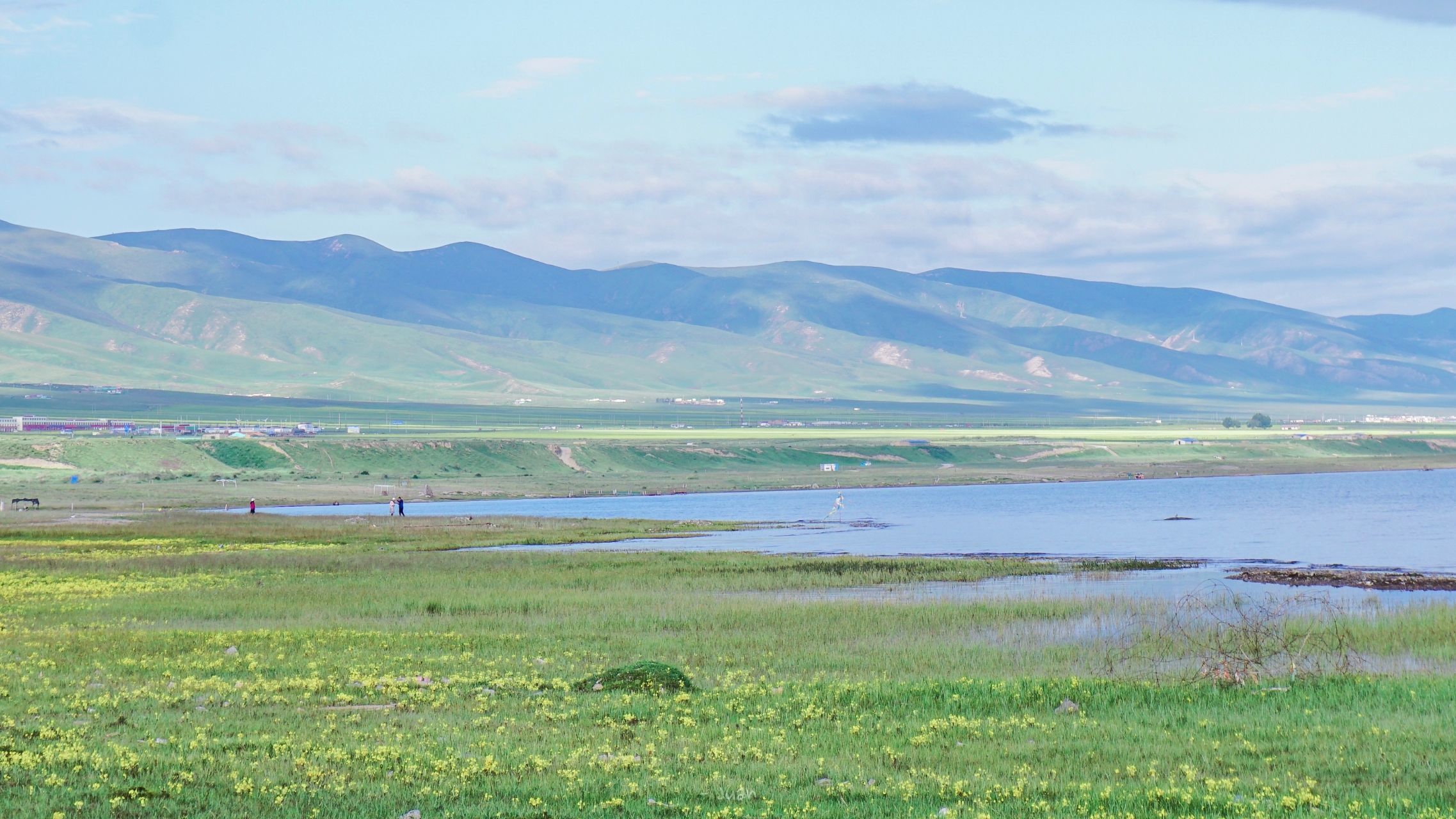 �����ָ߼���Ů�����֣��Ƚ���Ƨ��������Ů������