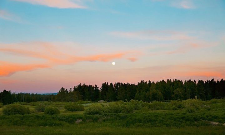 �������ں����к����ּ����ͣ�����������к����ִ�ȫ