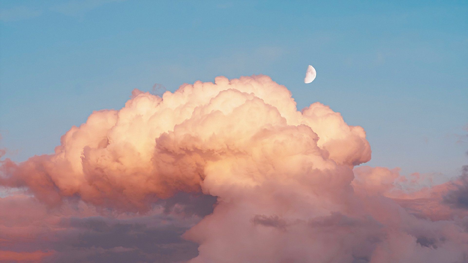 ���պ���ϡ�ٵ��к����֣������к��߷����ִ�ȫ